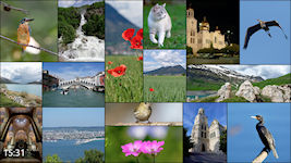 Photo Wall Image